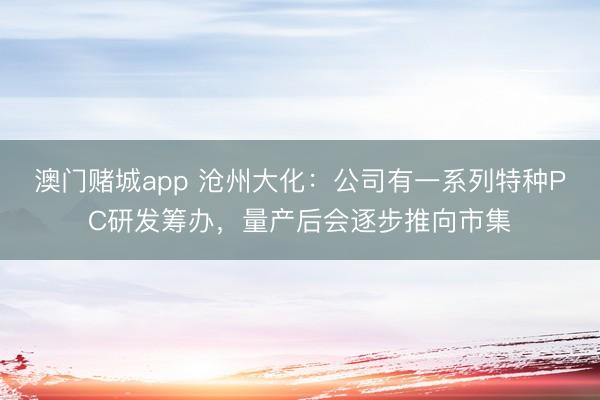 澳门赌城app 沧州大化：公司有一系列特种PC研发筹办，量产后会逐步推向市集