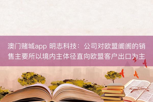 澳门赌城app 明志科技：公司对欧盟阛阓的销售主要所以境内主体径直向欧盟客户出口为主