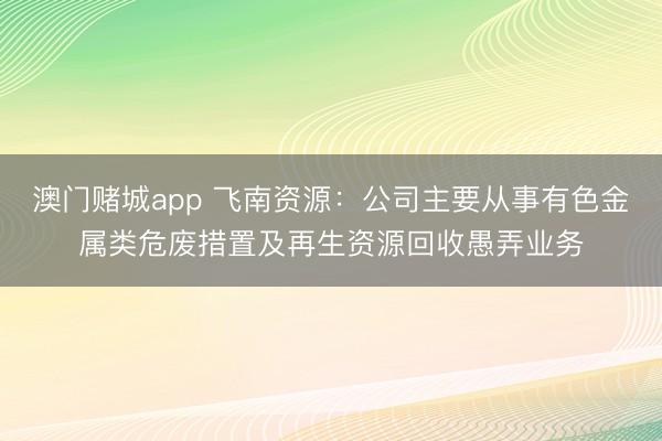 澳门赌城app 飞南资源：公司主要从事有色金属类危废措置及再生资源回收愚弄业务