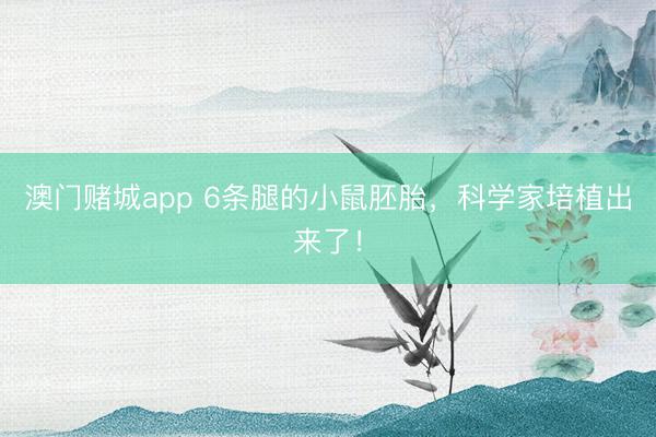 澳门赌城app 6条腿的小鼠胚胎，科学家培植出来了！