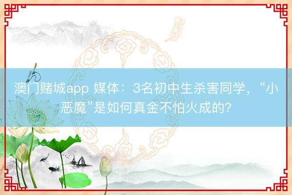 澳门赌城app 媒体：3名初中生杀害同学，“小恶魔”是如何真金不怕火成的？