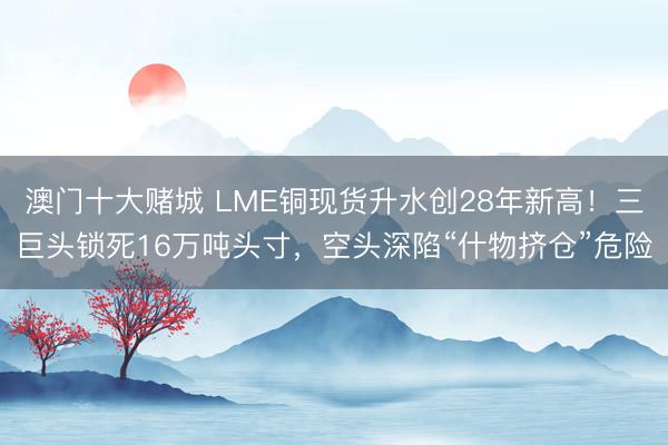 澳门十大赌城 LME铜现货升水创28年新高！三巨头锁死16万吨头寸，空头深陷“什物挤仓”危险