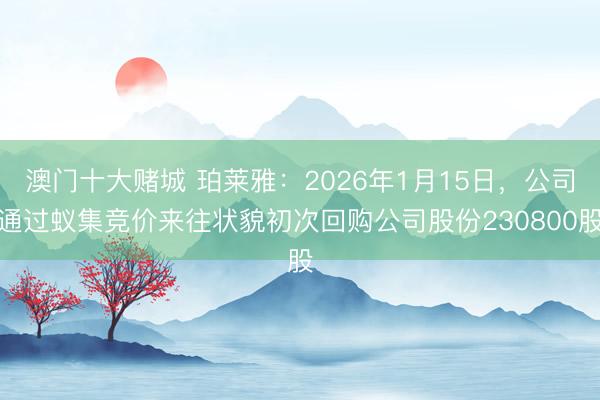 澳门十大赌城 珀莱雅：2026年1月15日，公司通过蚁集竞价来往状貌初次回购公司股份230800股