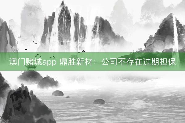 澳门赌城app 鼎胜新材：公司不存在过期担保