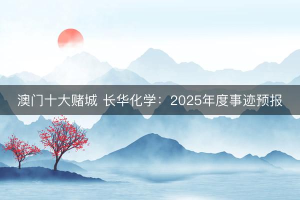 澳门十大赌城 长华化学：2025年度事迹预报