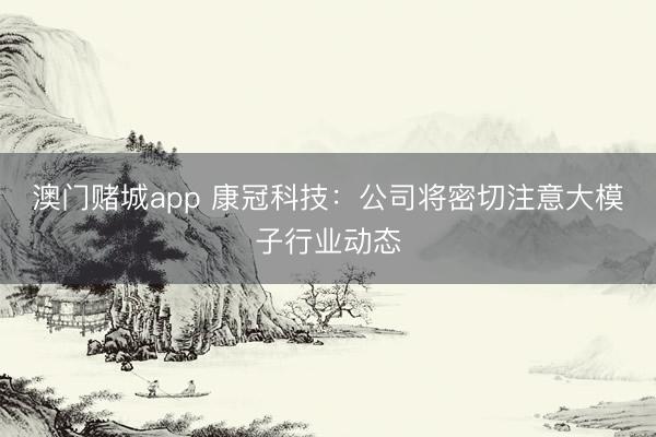 澳门赌城app 康冠科技：公司将密切注意大模子行业动态