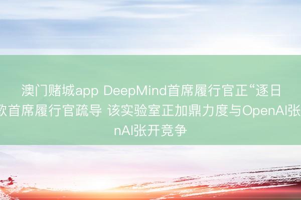 澳门赌城app DeepMind首席履行官正“逐日”与谷歌首席履行官疏导 该实验室正加鼎力度与OpenAI张开竞争