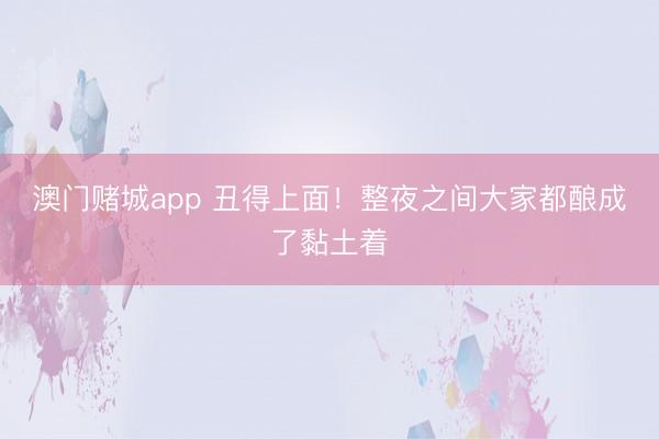 澳门赌城app 丑得上面！整夜之间大家都酿成了黏土着