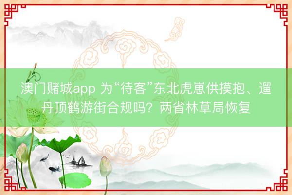 澳门赌城app 为“待客”东北虎崽供摸抱、遛丹顶鹤游街合规吗？两省林草局恢复