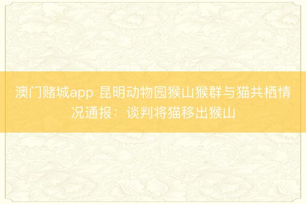 澳门赌城app 昆明动物园猴山猴群与猫共栖情况通报：谈判将猫移出猴山