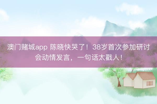 澳门赌城app 陈晓快哭了！38岁首次参加研讨会动情发言，一句话太戳人！