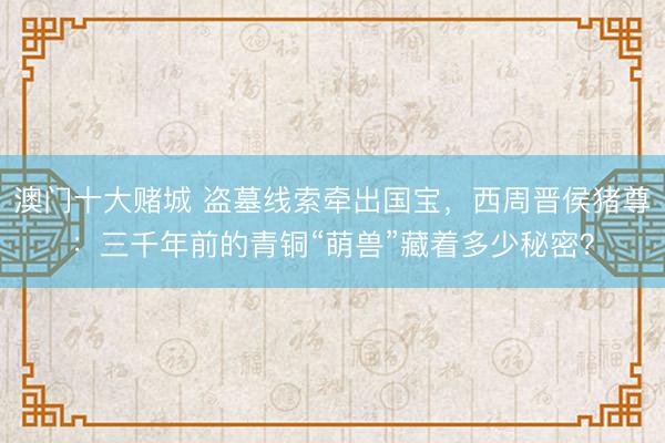 澳门十大赌城 盗墓线索牵出国宝，西周晋侯猪尊：三千年前的青铜“萌兽”藏着多少秘密？