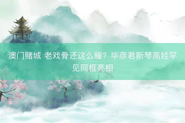 澳门赌城 老戏骨还这么暖?毕彦君斯琴高娃罕见同框亮相
