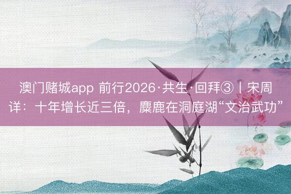 澳门赌城app 前行2026·共生·回拜③丨宋周详：十年增长近三倍，麋鹿在洞庭湖“文治武功”