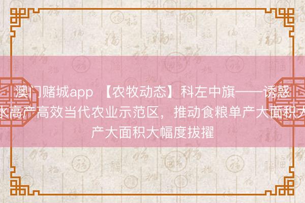 澳门赌城app 【农牧动态】科左中旗——诱惑百万亩节水高产高效当代农业示范区,推动食粮单产大面积大幅度拔擢