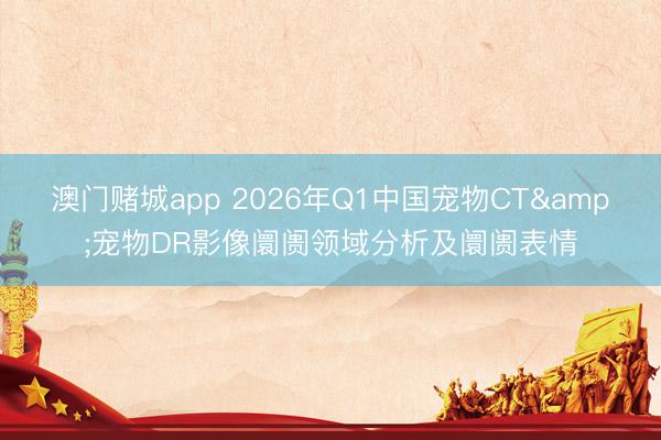 澳门赌城app 2026年Q1中国宠物CT&宠物DR影像阛阓领域分析及阛阓表情