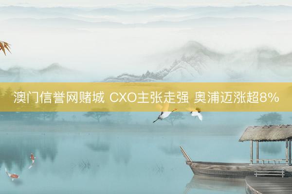 澳门信誉网赌城 CXO主张走强 奥浦迈涨超8%