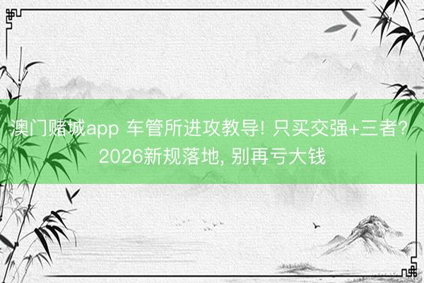 澳门赌城app 车管所进攻教导! 只买交强+三者? 2026新规落地， 别再亏大钱