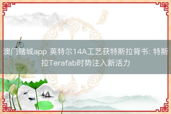 澳门赌城app 英特尔14A工艺获特斯拉背书: 特斯拉Terafab时势注入新活力
