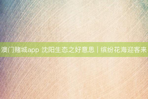 澳门赌城app 沈阳生态之好意思 | 缤纷花海迎客来