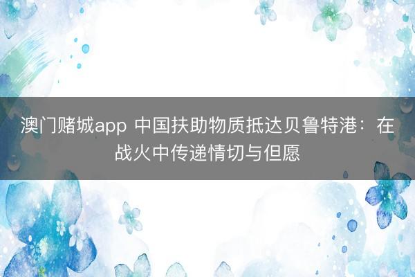 澳门赌城app 中国扶助物质抵达贝鲁特港：在战火中传递情切与但愿
