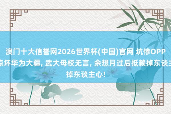 澳门十大信誉网2026世界杯(中国)官网 坑惨OPPO, 惊坏华为大疆, 武大母校无言, 余想月过后抵赖掉东谈主心!