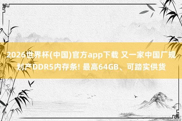 2026世界杯(中国)官方app下载 又一家中国厂规划产DDR5内存条! 最高64GB、可踏实供货
