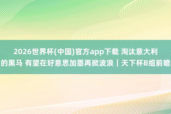 2026世界杯(中国)官方app下载 淘汰意大利的黑马 有望在好意思加墨再掀波浪|天下杯B组前瞻