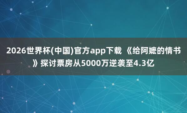 2026世界杯(中国)官方app下载 《给阿嬷的情书》探讨票房从5000万逆袭至4.3亿