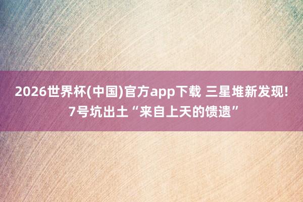 2026世界杯(中国)官方app下载 三星堆新发现! 7号坑出土“来自上天的馈遗”