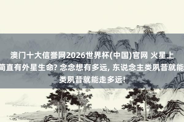 澳门十大信誉网2026世界杯(中国)官网 火星上会不会简直有外星生命? 念念想有多远, 东说念主类夙昔就能走多远!