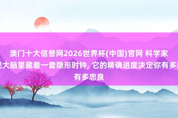 澳门十大信誉网2026世界杯(中国)官网 科学家发现大脑里藏着一套隐形时钟, 它的精确进度决定你有多忠良
