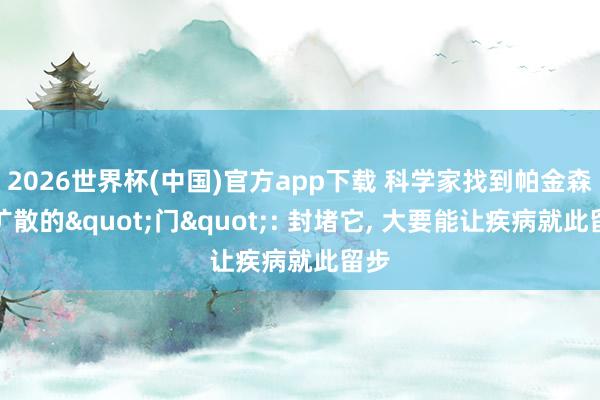 2026世界杯(中国)官方app下载 科学家找到帕金森病扩散的"门": 封堵它, 大要能让疾病就此留步