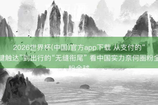 2026世界杯(中国)官方app下载 从支付的“一键触达”到出行的“无缝衔尾” 看中国实力奈何圈粉全球