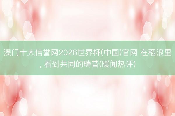 澳门十大信誉网2026世界杯(中国)官网 在稻浪里, 看到共同的畴昔(暖闻热评)