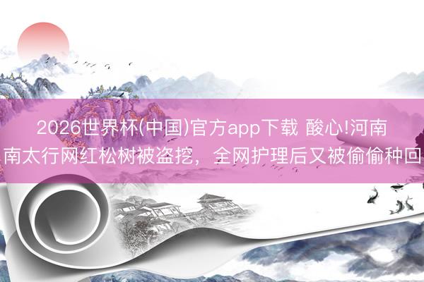 2026世界杯(中国)官方app下载 酸心!河南南太行网红松树被盗挖,全网护理后又被偷偷种回