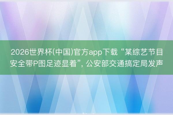 2026世界杯(中国)官方app下载 “某综艺节目安全带P图足迹显着”, 公安部交通搞定局发声
