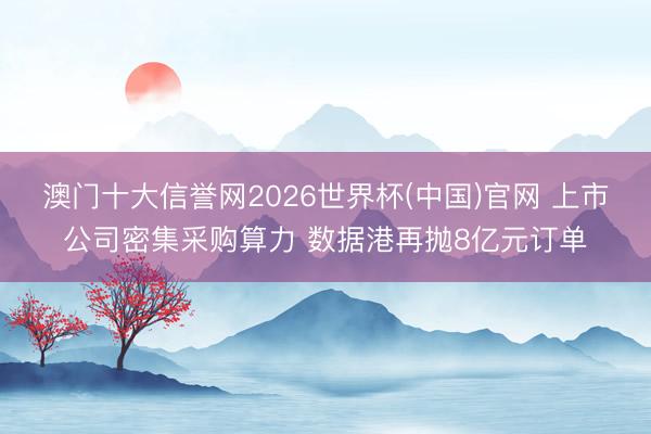 澳门十大信誉网2026世界杯(中国)官网 上市公司密集采购算力 数据港再抛8亿元订单
