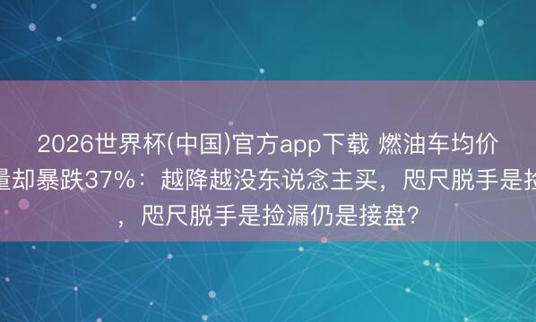 2026世界杯(中国)官方app下载 燃油车均价降2.5万,销量却暴跌37%:越降越没东说念主买,咫尺脱手是捡漏仍是接盘?