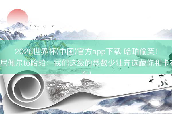 2026世界杯(中国)官方app下载 哈珀偷笑！克尼佩尔to哈珀：我们这级的悉数少壮齐选藏你和卡布！