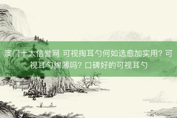 澳门十大信誉网 可视掏耳勺何如选愈加实用? 可视耳勺绵薄吗? 口碑好的可视耳勺