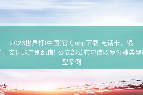 2026世界杯(中国)官方app下载 电话卡、银行卡、支付账户别乱借! 公安部公布电信收罗诳骗典型案例
